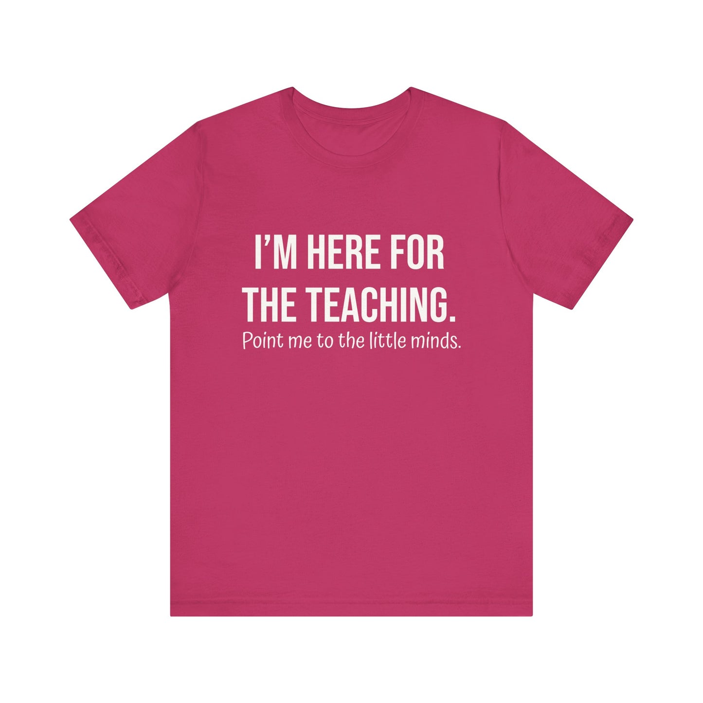 I'm here for the teaching, t-shirt for Teachers, Fun gift for educators, every day clothing