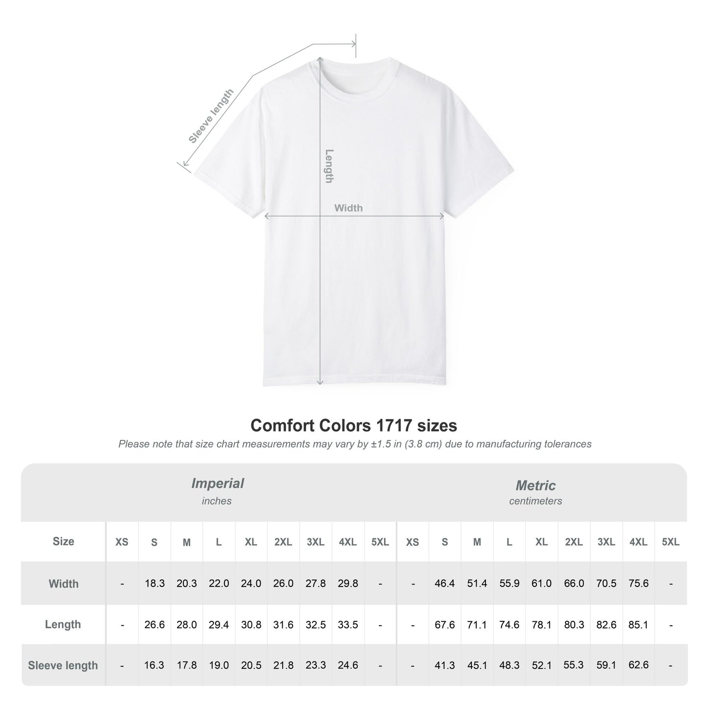 Curious Today Brilliant Tomorrow rainbow T-Shirt | Cute Teacher tee