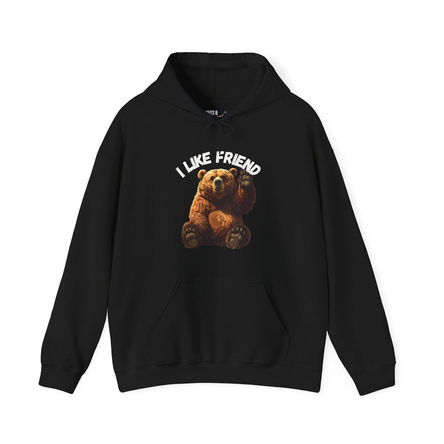 Bear 'I Like Friend' Hoodie - Cute Graphic Animal Pullover, Sweatshirt Gift
